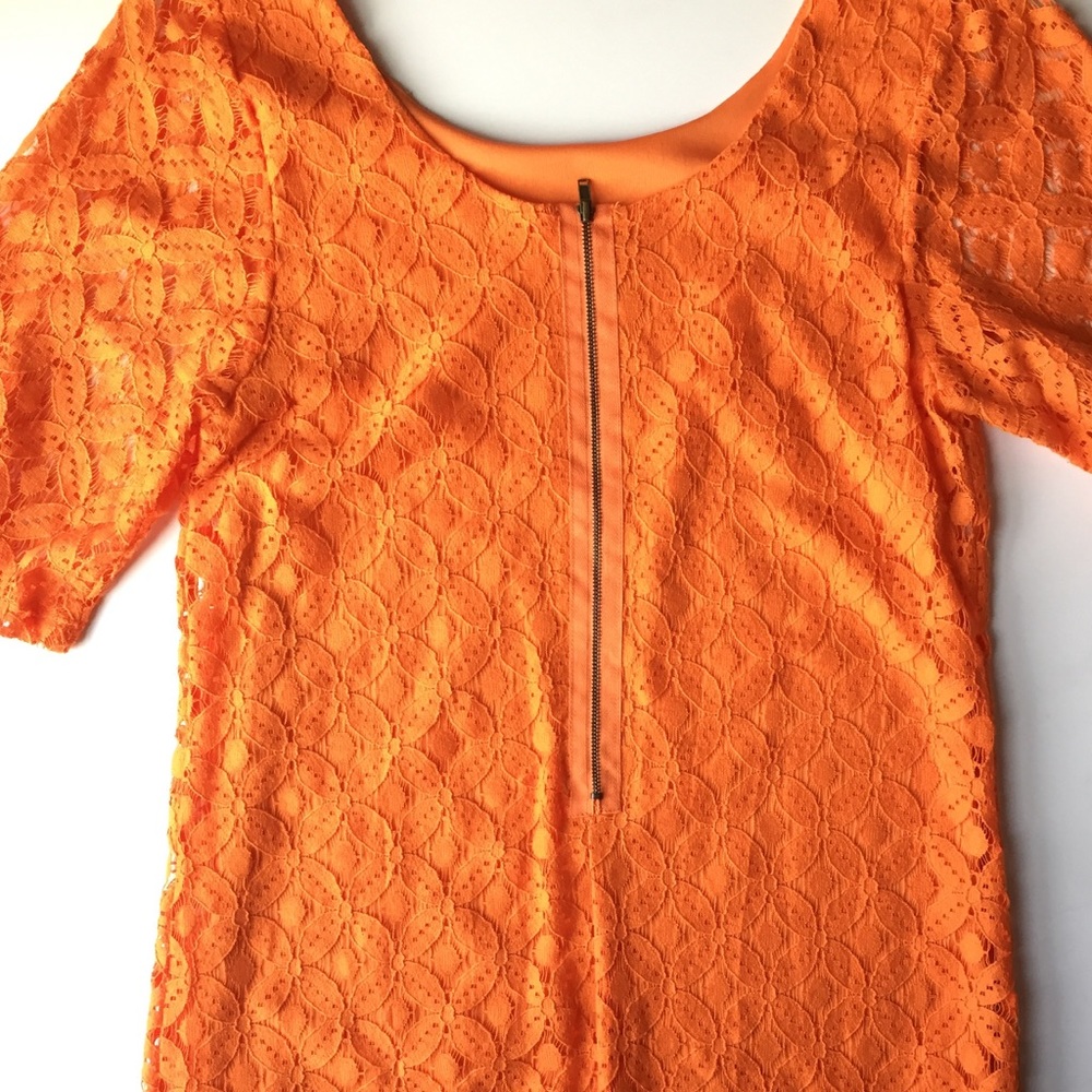 Lace Overlay Short Sleeve Shift Dress